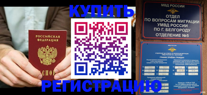 прописка 2025 в Александровске-Сахалинском